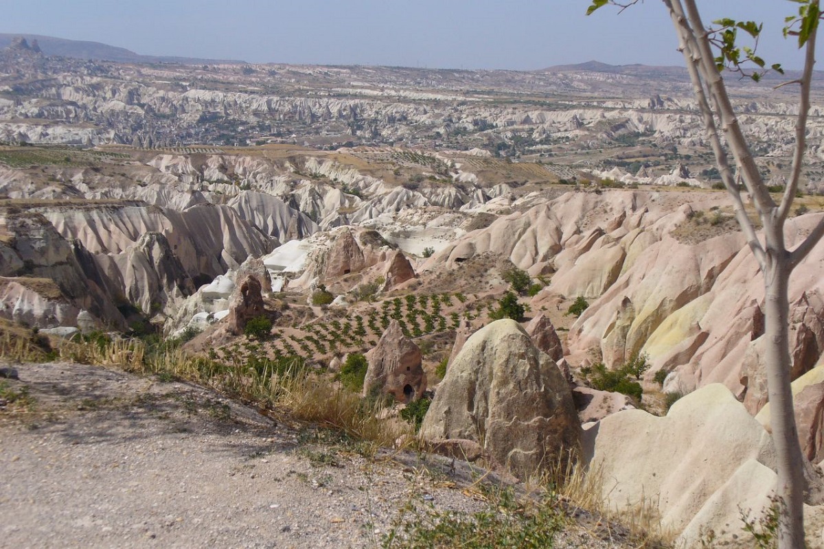 I vitigni della Cappadocia
