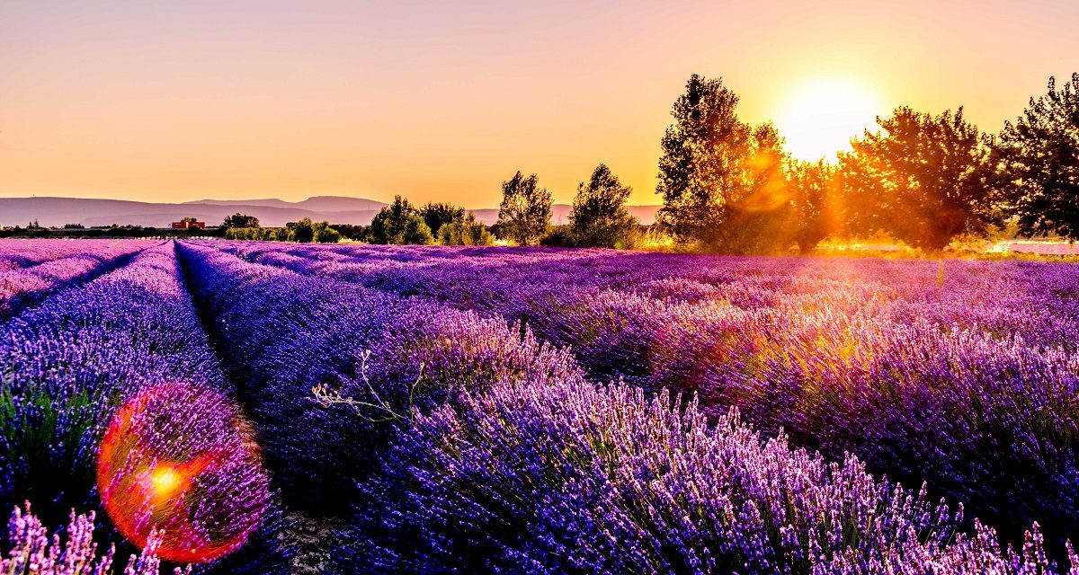 https://www.ipomehotels.com/en/wp-content/uploads/2020/08/Provenza-Photo-by-Leonard-Cottea-on-Unsplash-1200x640.jpg